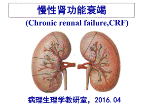 16慢性肾功能不全课件.ppt