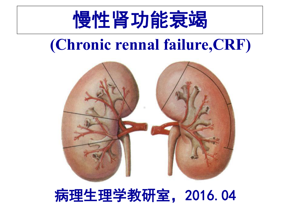 16慢性肾功能不全课件.ppt_第1页