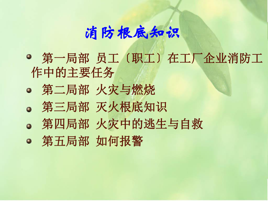 dfsservice企业员工消防培训课件.ppt_第2页