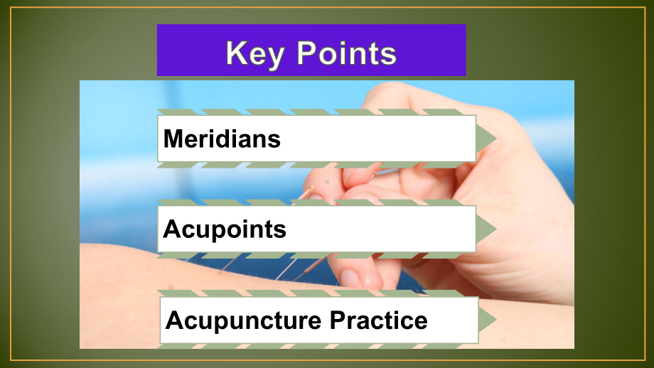 Acupuncture针灸旅游英语(本)教学辅导课件.pptx_第2页