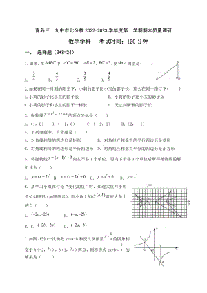 山东省青岛市三十九中市北分校2022-2023学年九年级上学期期末数学试题.pdf