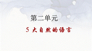 《大自然的语言》(最新版)部编版1课件.ppt