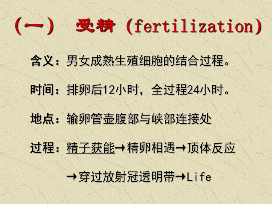 3妊娠生理课件.ppt_第3页