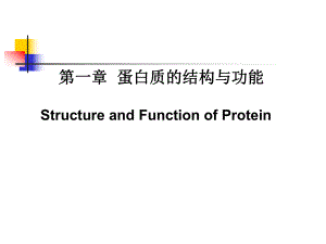 01人民卫生出版社高国全第三版第一章蛋白质的结构与功能课件.ppt
