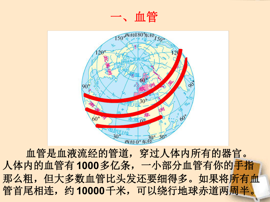 七年级下册生物课件332物质运输的器官课件济南版.ppt_第2页