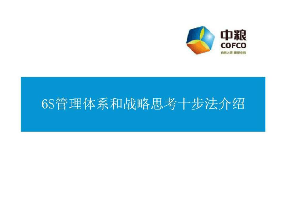 中粮6s管理体系和战略思考十步法介绍课件.ppt_第1页