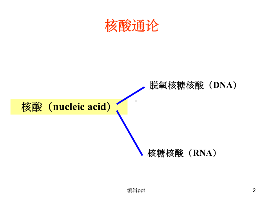 《核苷酸与核酸》课件.ppt_第2页