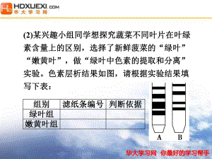 2某兴趣小组同学想探究蔬菜不同叶片在叶绿 素含量上的区别选择 课件.ppt