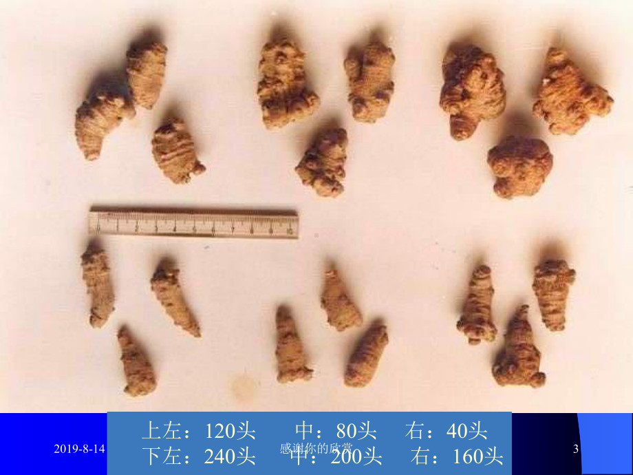 中药商品学Chinesemateriamedicacommoditylogy模板课件.pptx_第3页