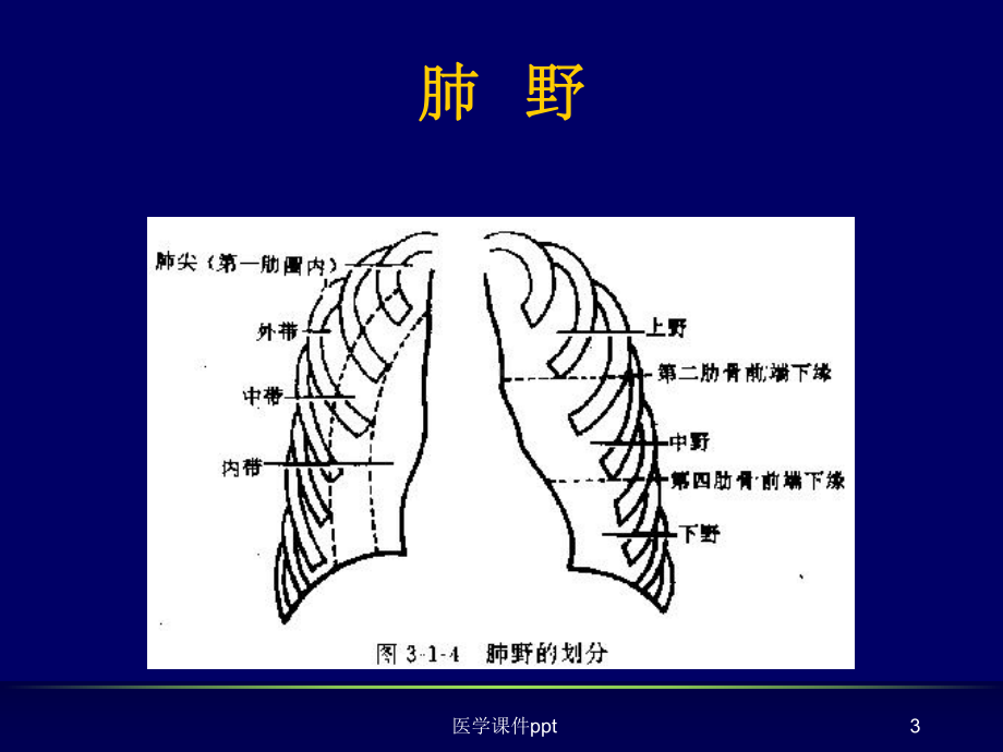 《执业医师X线读》课件.ppt_第3页