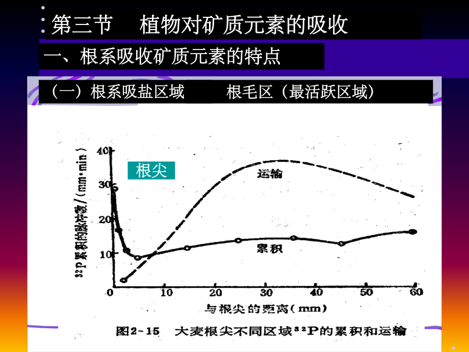 《植物的矿质营养》课件.ppt_第1页