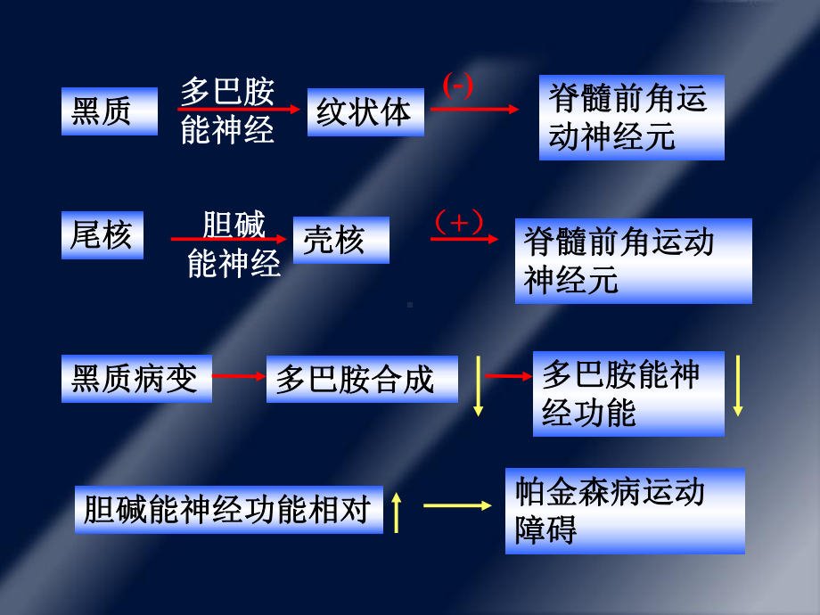 (课件)抗帕金森病药.ppt_第3页