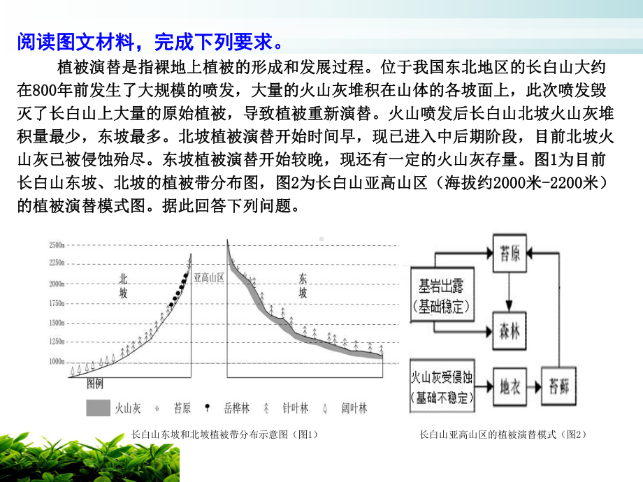 2021年综合试题的命制过程经验分享课件—以“长白山植被演替”试题为例.ppt_第2页