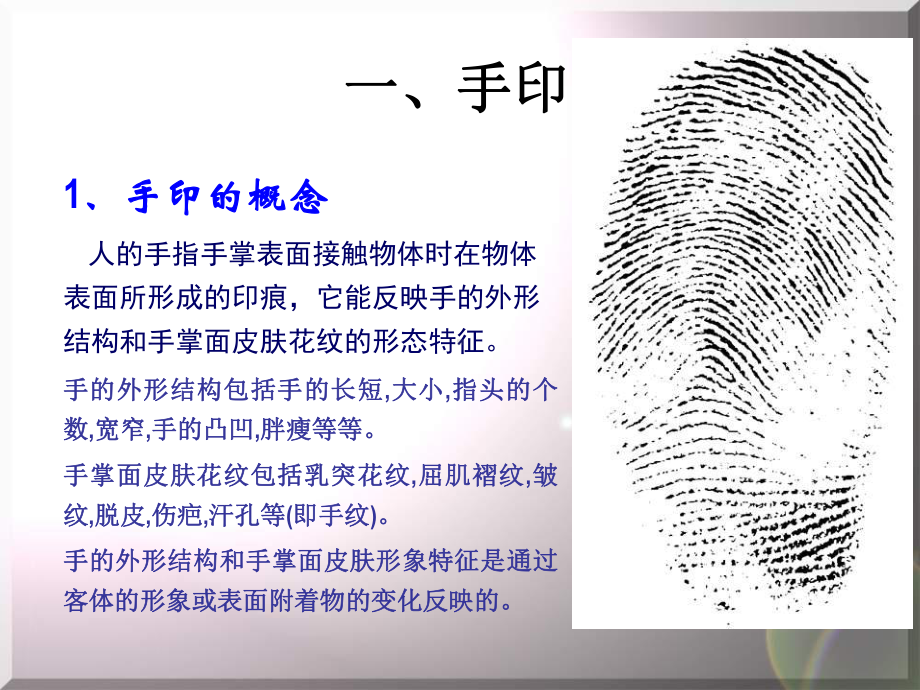 《刑事技术》第3章痕迹检验手印检验解读课件.ppt_第3页