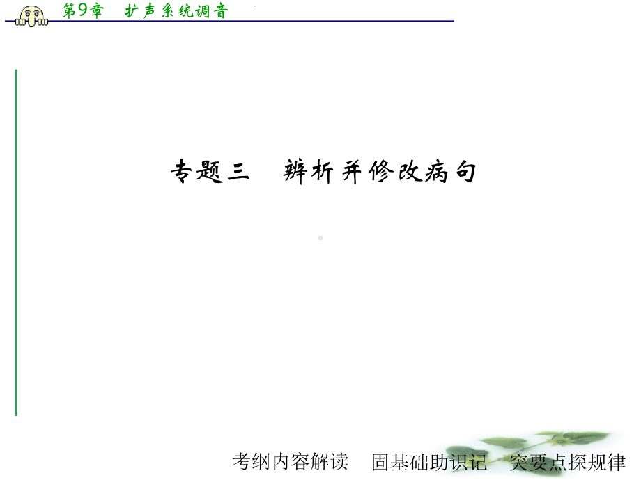 《大高考》高考语文(全国通用)二轮复习课件：专题3辨析并修改病句.ppt_第1页