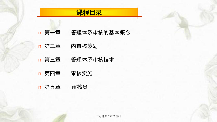 三标体系内审员培训课件讲义.ppt_第3页