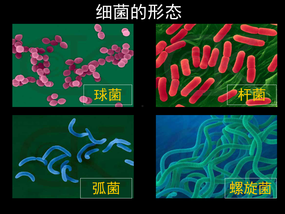 专21微生物的实验室培养课件.ppt_第3页