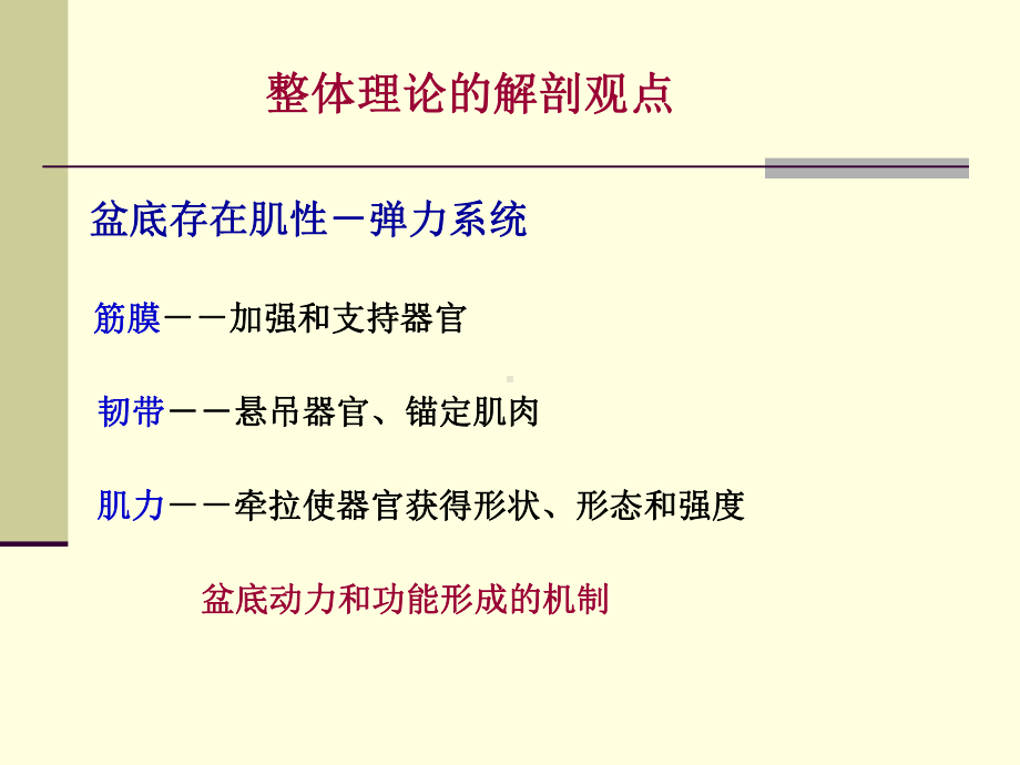 Integral Theory 盆底动力解剖与盆底重建手术课件幻灯.ppt_第2页