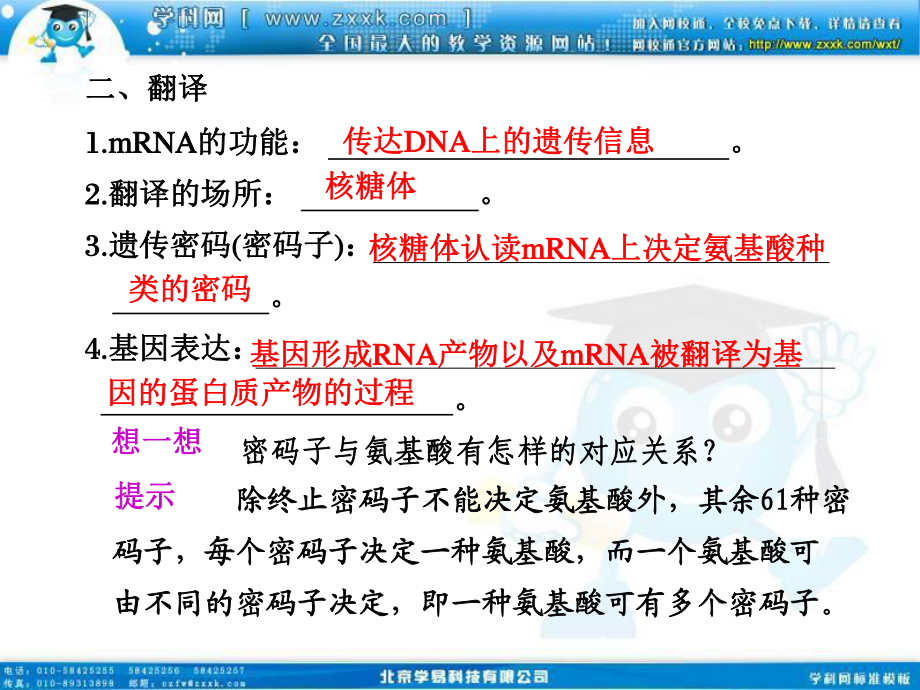 2011高三生物一轮复习课件：第20讲遗传信息的表达—RNA和蛋白质的合成.ppt_第3页