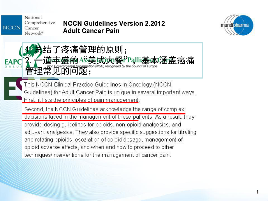 NCCN成人癌痛临床实践指南更新汇课件.pptx_第1页