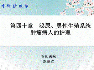 40第四十章 泌尿、男性生殖系统肿瘤病人的护理课件.ppt