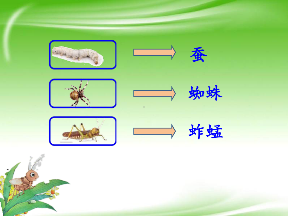 《我是一只小虫子》课件部编版2.ppt_第2页