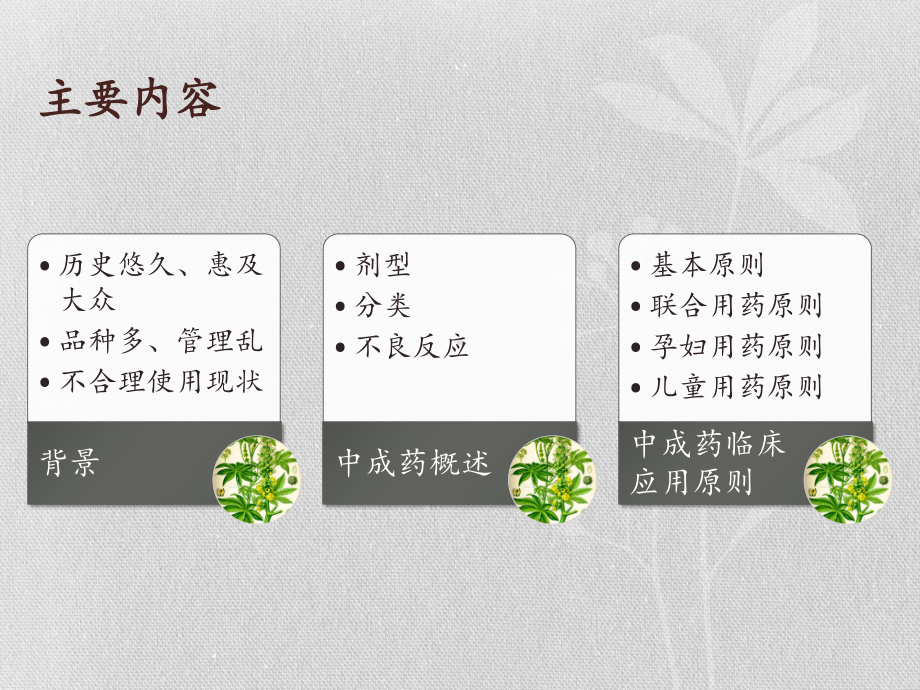 中成药临床合理使用培训教材课件.ppt_第2页