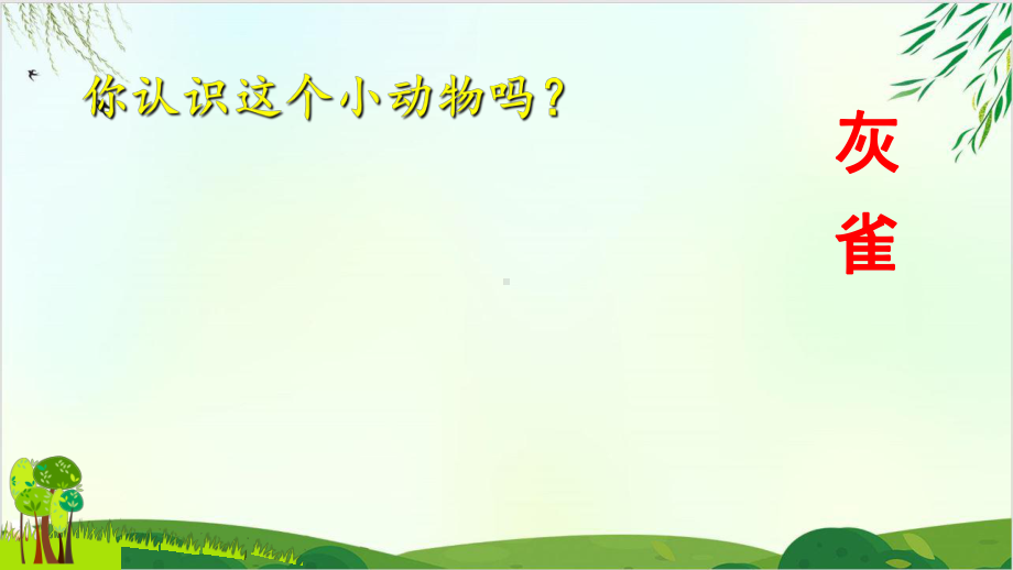 (部编版教材)三年级上册《灰雀》教研课件.ppt_第1页