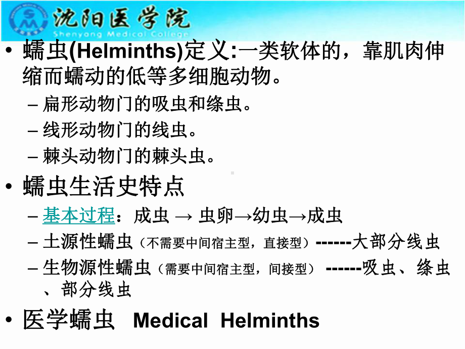 2 线虫概论、蛔虫、鞭虫课件.ppt_第2页