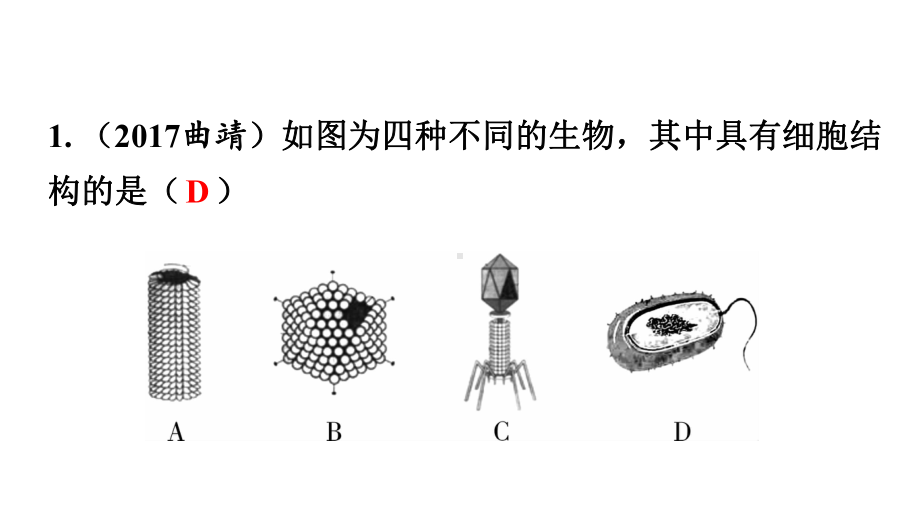 中考生物复习：识图题(9份)人教版2课件.ppt_第2页