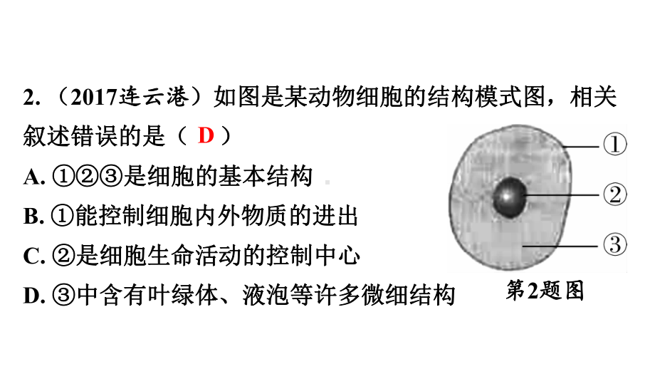 中考生物复习：识图题(9份)人教版2课件.ppt_第3页