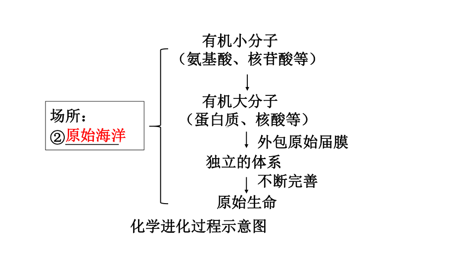 中考生物复习：生命的演化济南版课件.ppt_第3页