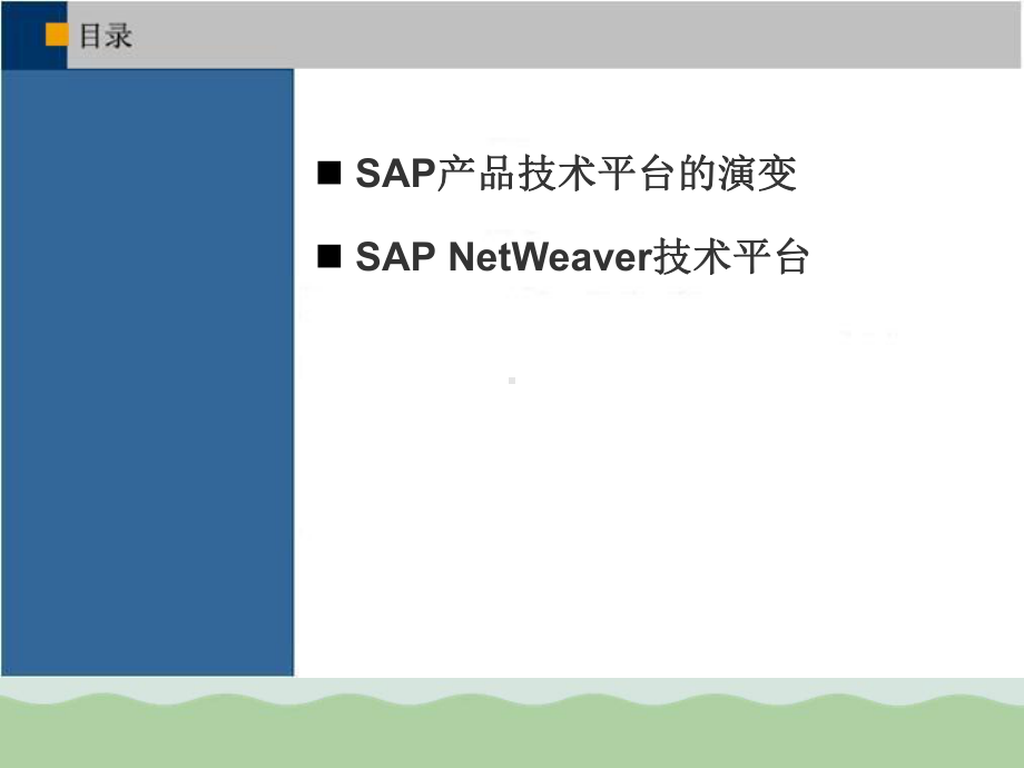 SAP产品技术平台的演变与NetWeaver技术平台课件.ppt_第2页