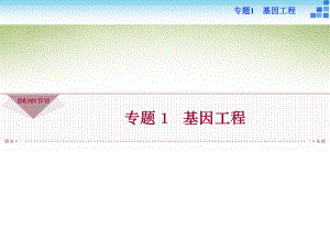 2016年高中生物 专题11 DNA重组技术的基本工具课件 新人教版选修3.ppt