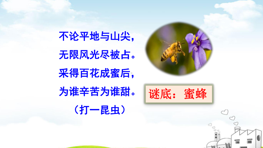 《蜜蜂》标准课件1.pptx_第1页