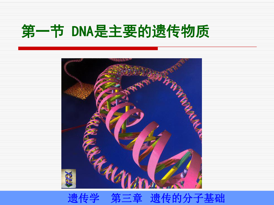 -遗传的分子基础课件.ppt_第3页