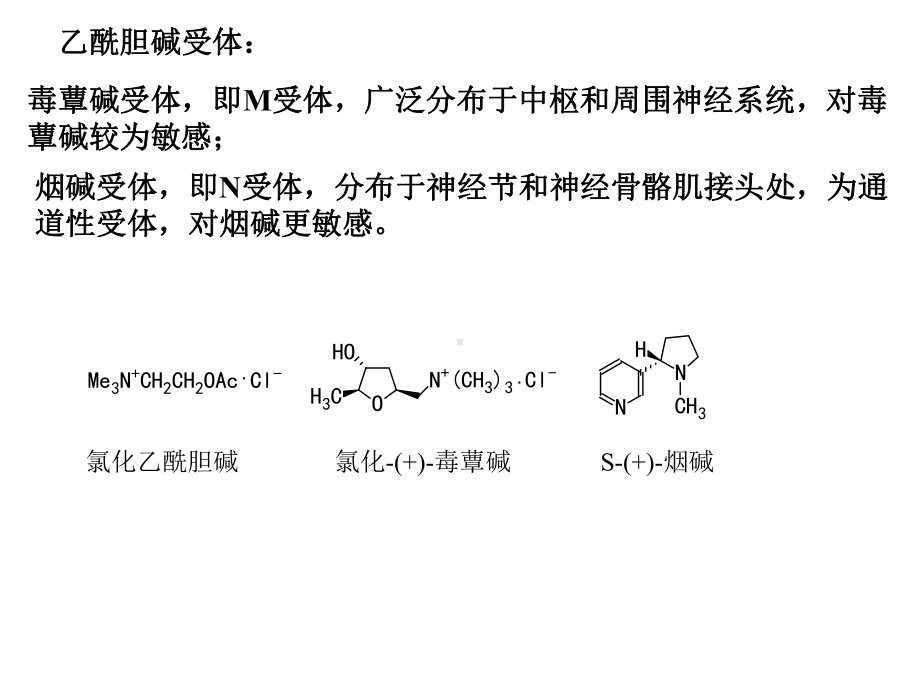 007拟胆碱药和抗胆碱药课件.ppt_第2页