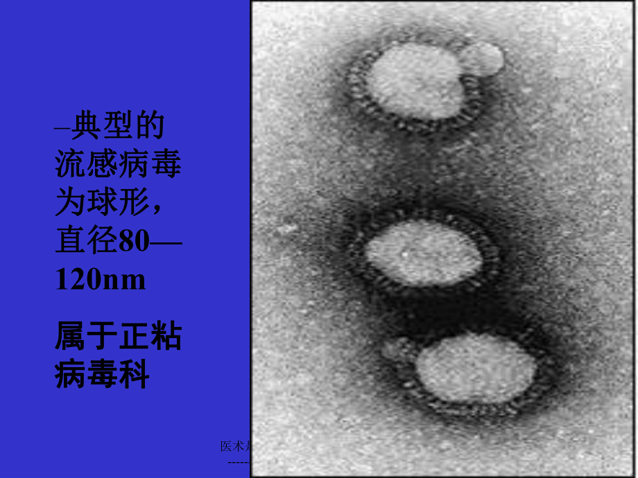 （医学生物课件）学校流感暴发疫情的控制.ppt_第3页