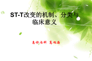 STT改变的机制、分类与临床意义课件.ppt