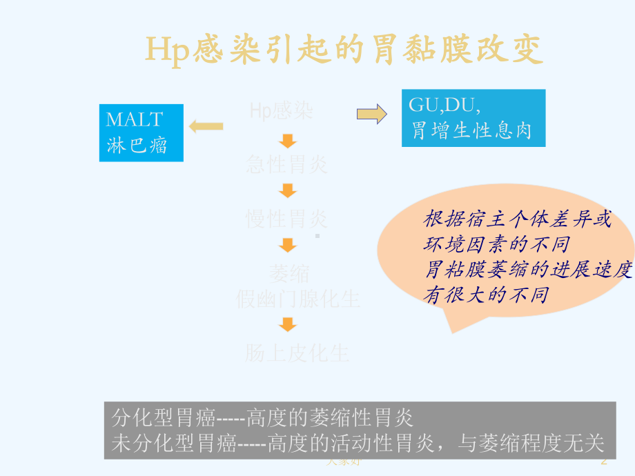 Hp感染和内窥镜表现课件.ppt_第2页