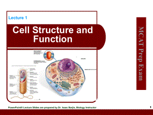 CellStructureandFunction[细胞结构和功能](84)课件.ppt