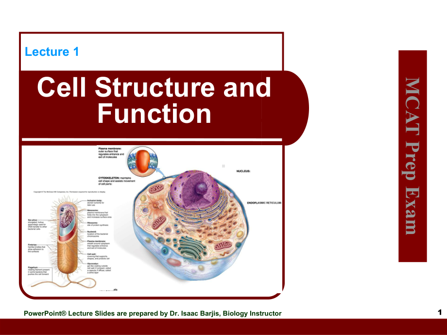 CellStructureandFunction[细胞结构和功能](84)课件.ppt_第1页