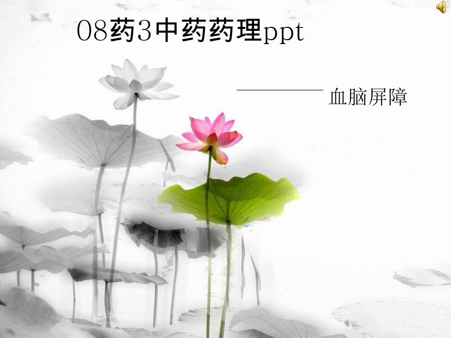 中药药理2组课件.ppt_第1页