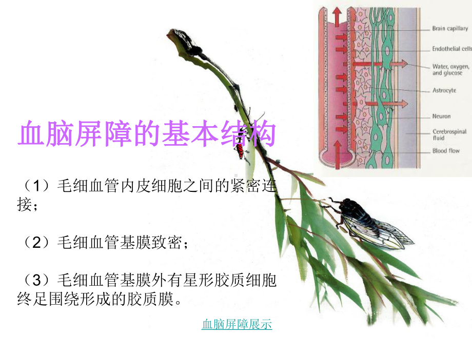 中药药理2组课件.ppt_第3页