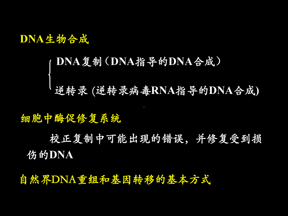 DNA的生物合成和损伤修复课件.ppt_第2页