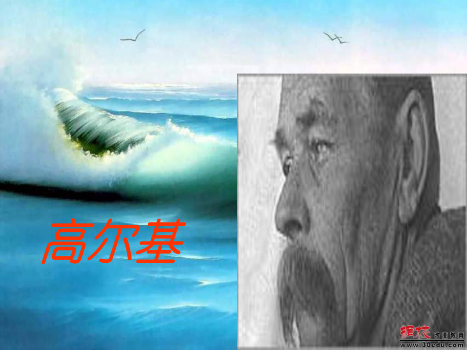 9《海燕》课件教材.ppt_第2页