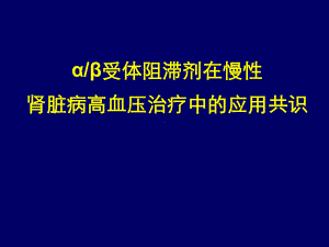 ab受体阻滞剂与CKD高血压应用共识课件.ppt