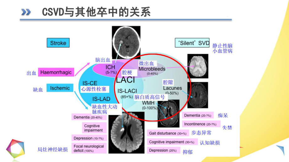 《脑小血管病》课件.pptx_第3页