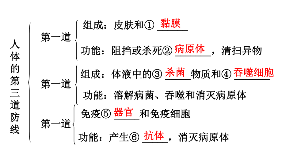 中考生物复习：免疫与健康及人在生物圈中的作用济南版课件.ppt_第3页