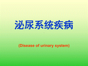 （大学课件）泌尿系统疾病.ppt